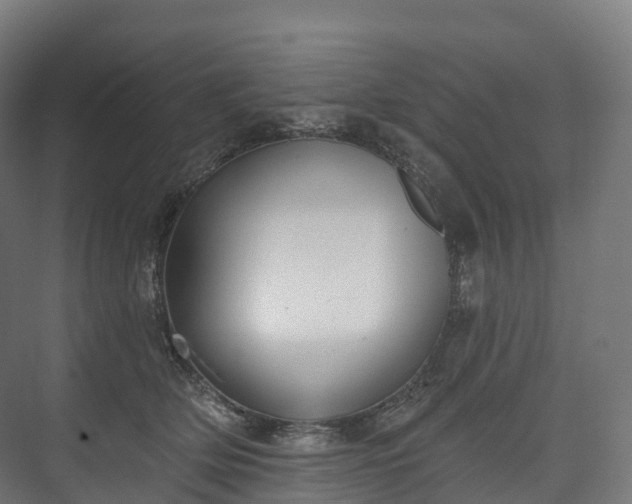 X0000073480514200608071024