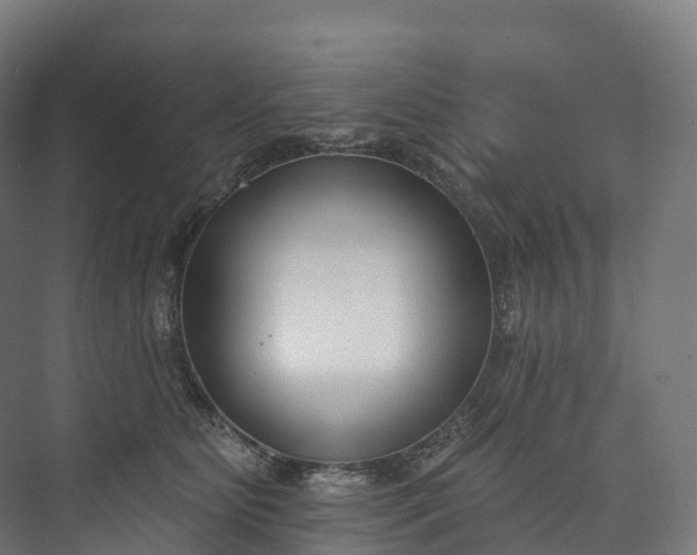 X0000073480515200608071024