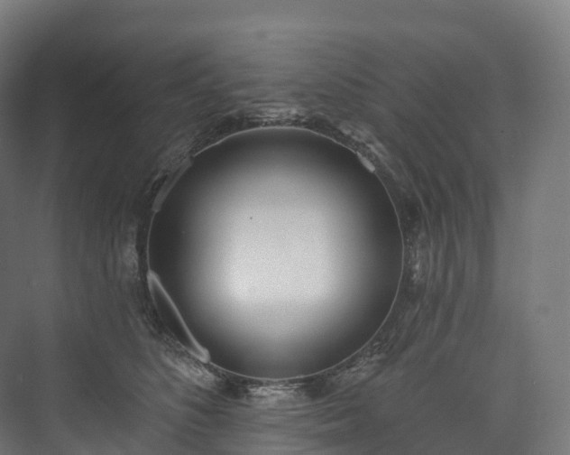 X0000073480516200608071024