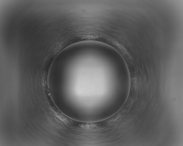 X0000073480517200608071024