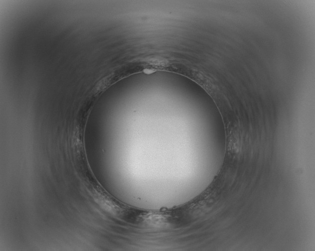 X0000073480518200608071024