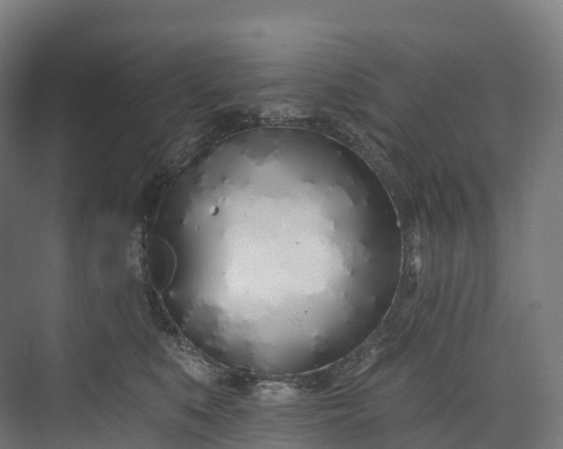 X0000073480519200608071024