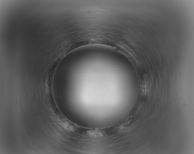 X0000073480520200608071024