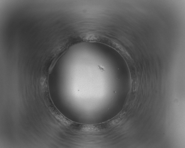 X0000073480521200608071024