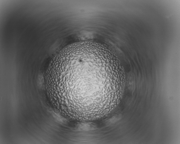 X0000073480523200608071024