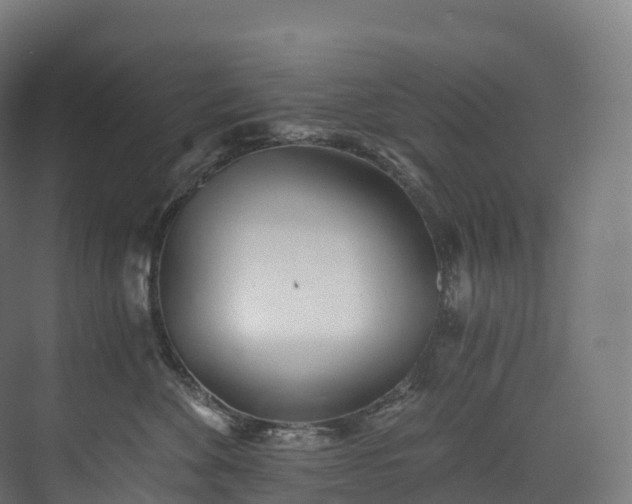 X0000073480524200608071024