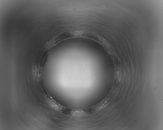 X0000073480525200608071024