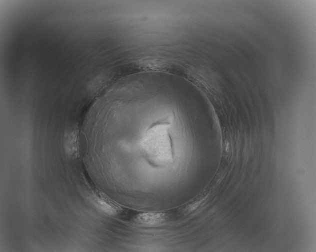 X0000073480526200608071024