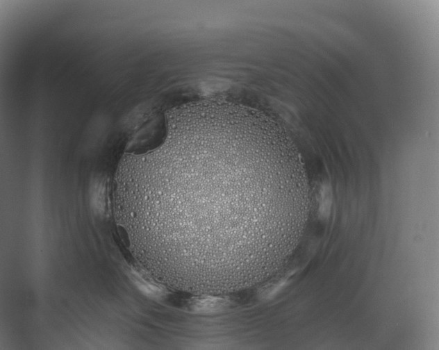 X0000073480527200608071024