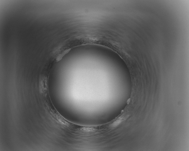 X0000073480528200608071024