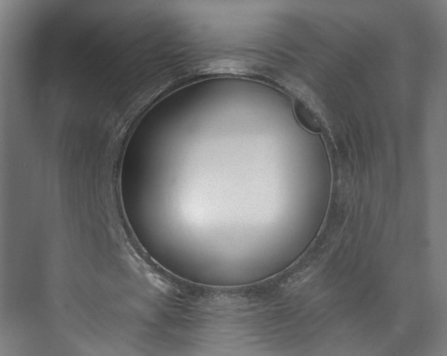 X0000073480529200608071023