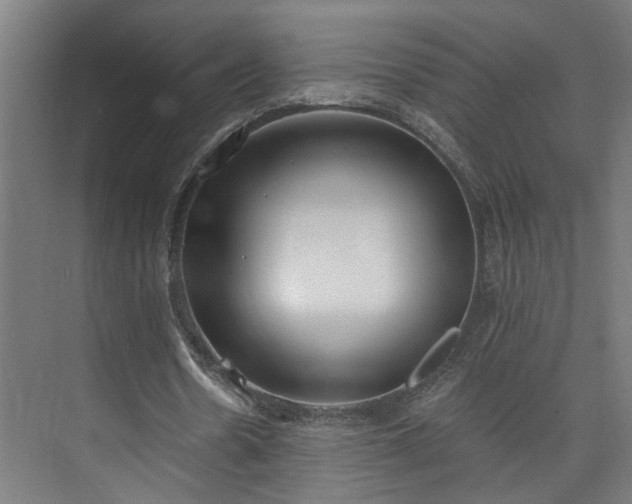 X0000073480530200608071023