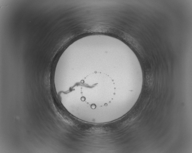 X0000073480534200608071023