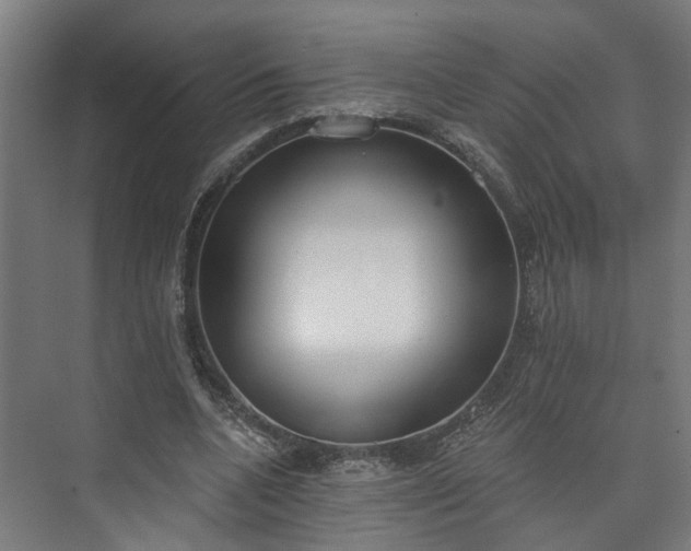 X0000073480536200608071023