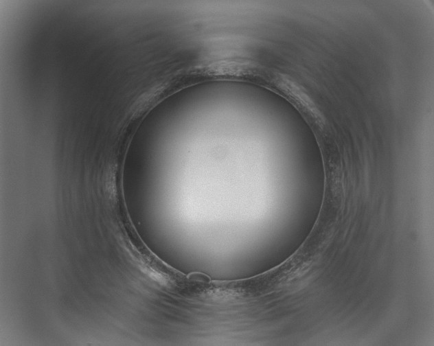 X0000073480537200608071023