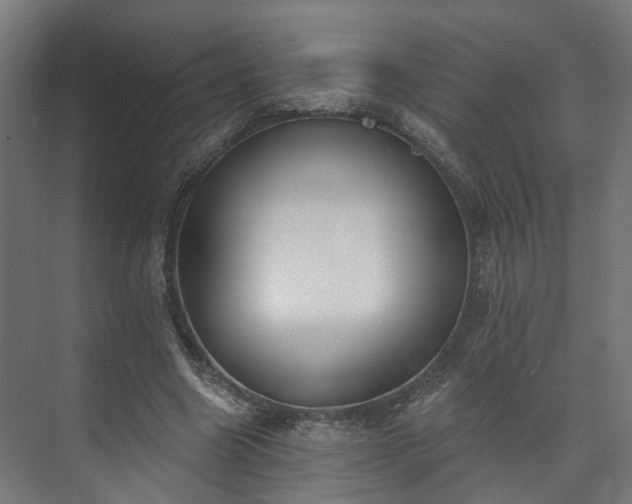 X0000073480538200608071023