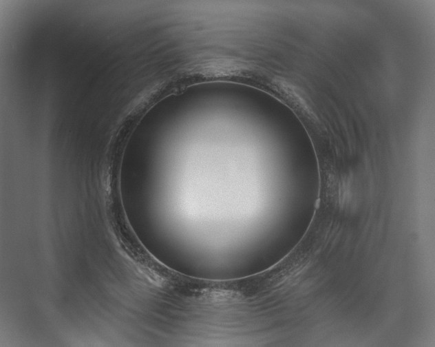 X0000073480539200608071023