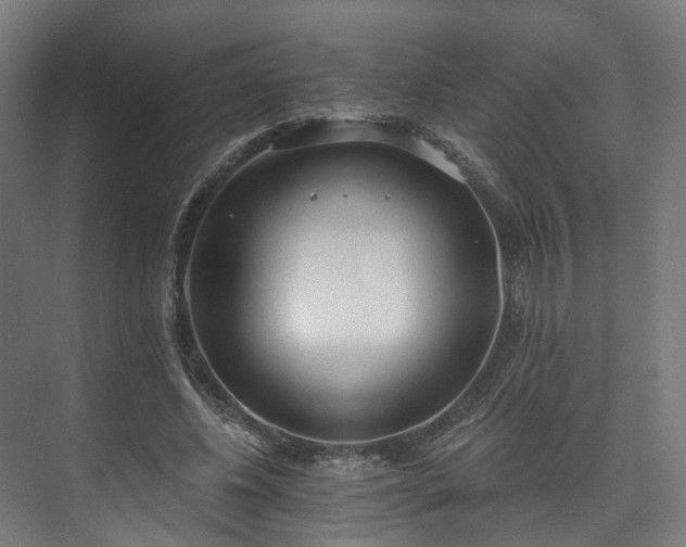 X0000073480540200608071023