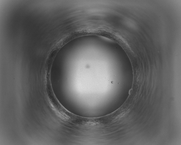 X0000073480542200608071023