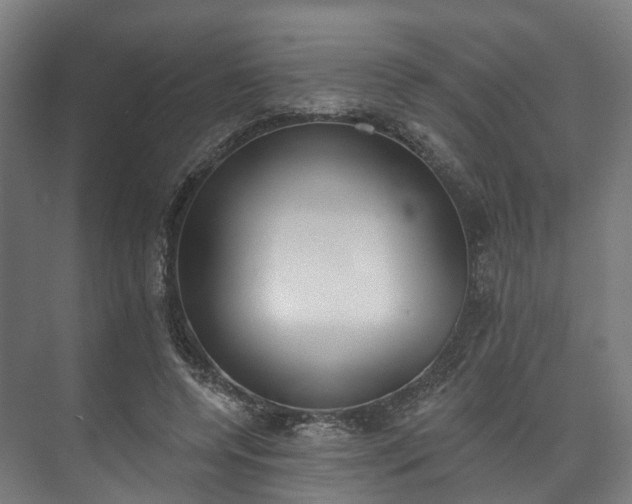 X0000073480544200608071023