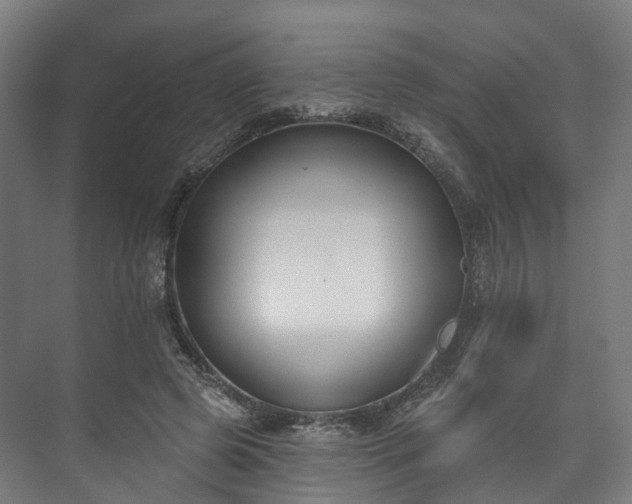 X0000073480545200608071023