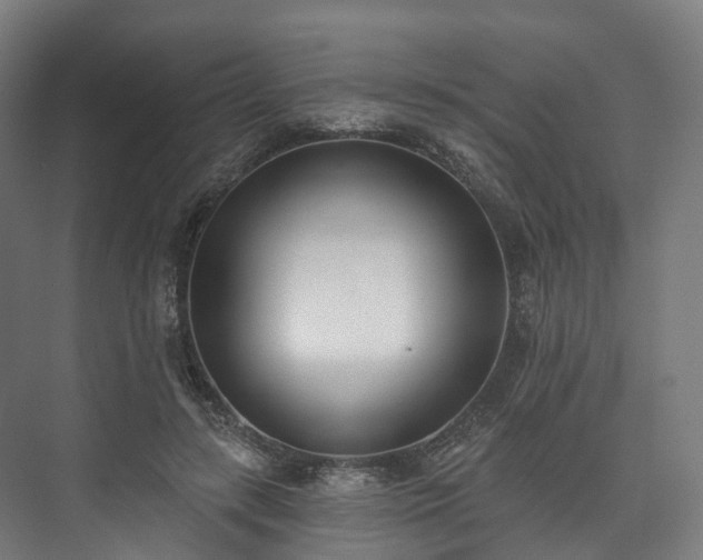 X0000073480547200608071023