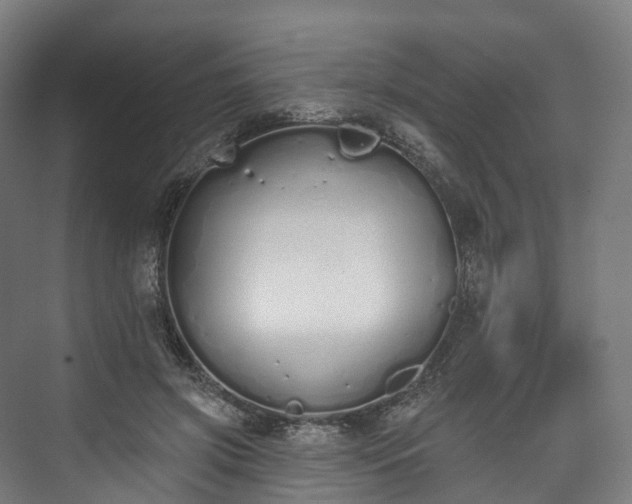 X0000073480549200608071023