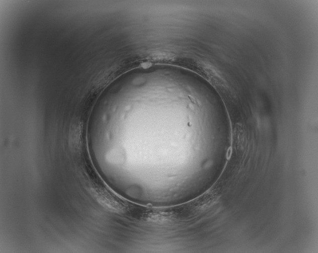 X0000073480550200608071023