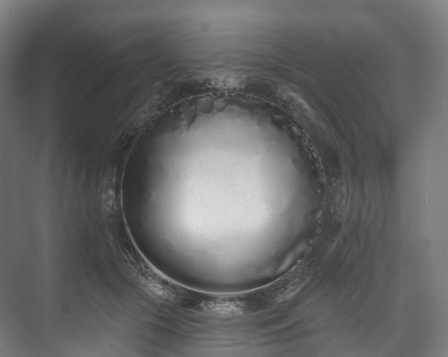 X0000073480553200608071023