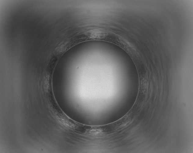 X0000073480554200608071024