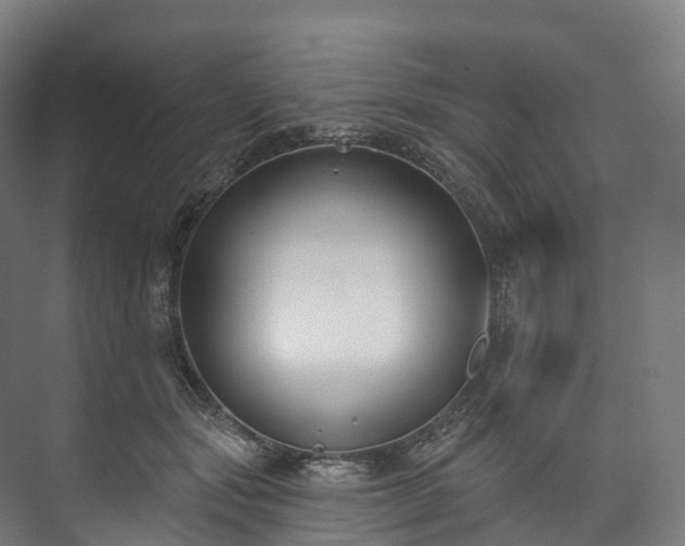 X0000073480557200608071024