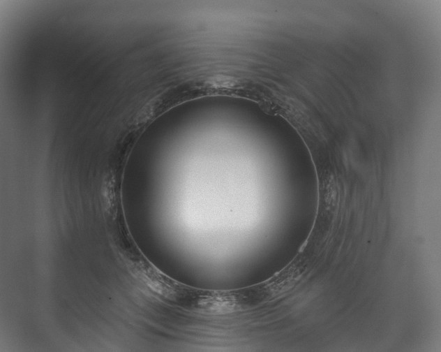 X0000073480559200608071024