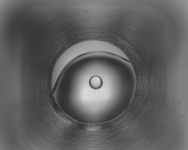 X0000073480560200608071024