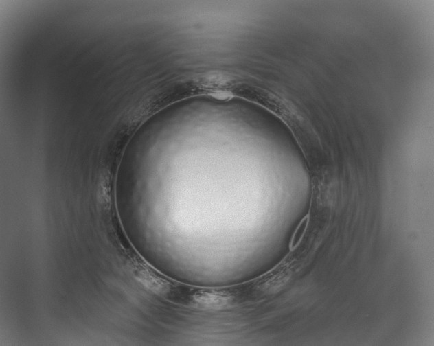 X0000073480561200608071024