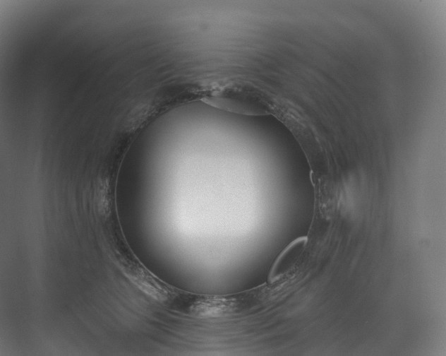 X0000073480563200608071024