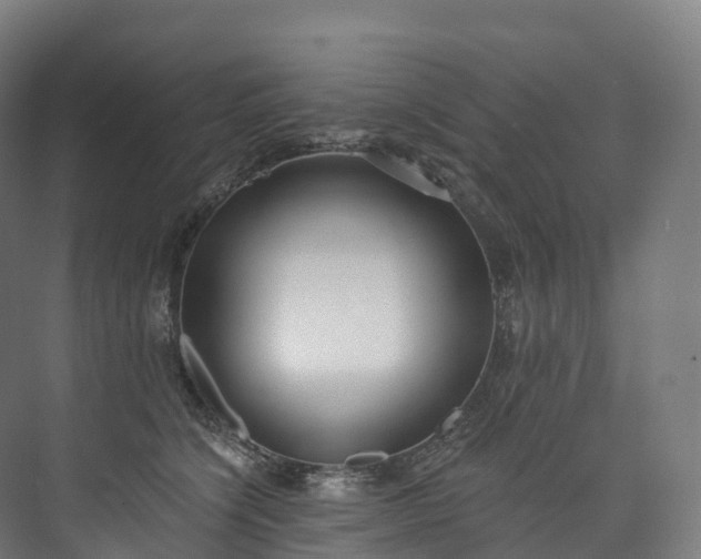 X0000073480564200608071024