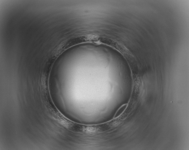 X0000073480565200608071024