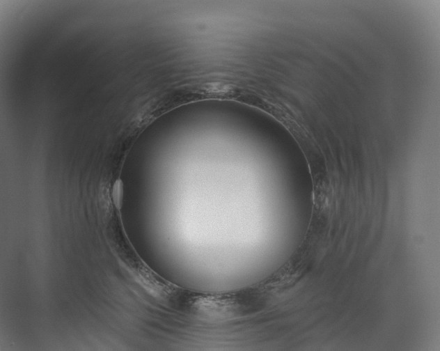 X0000073480568200608071024