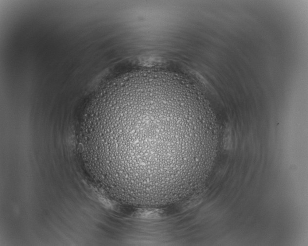 X0000073480569200608071024