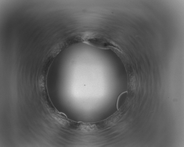 X0000073480571200608071024