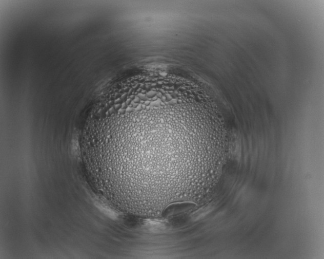 X0000073480573200608071024