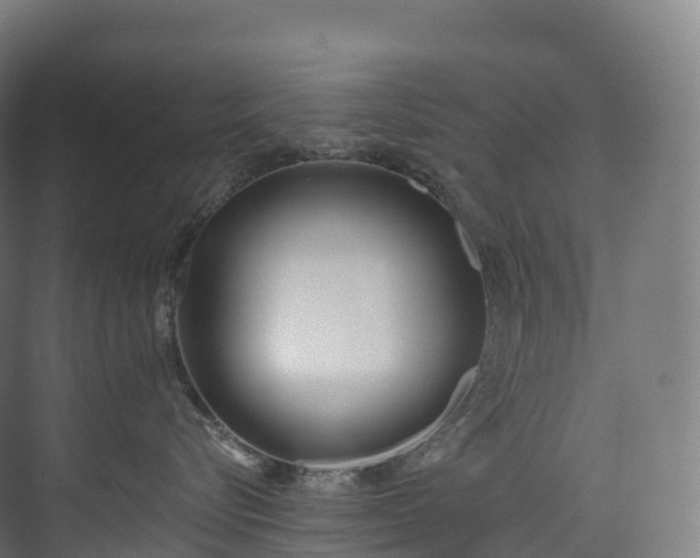 X0000073480576200608071024