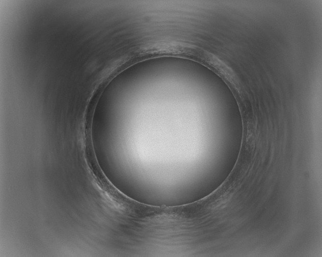 X0000073480578200608071023