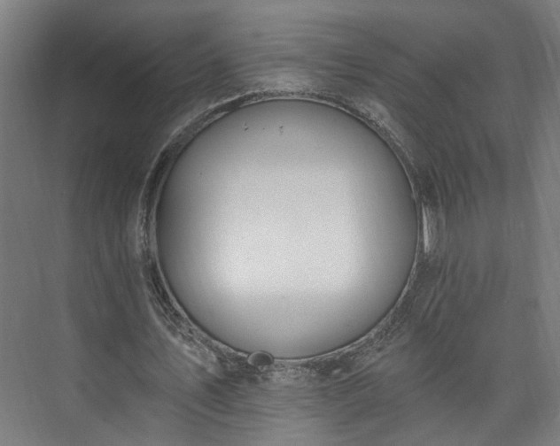 X0000073480579200608071023