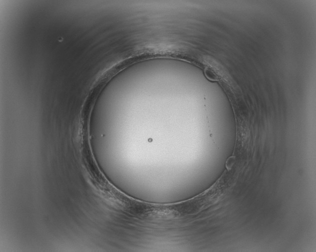 X0000073480583200608071023