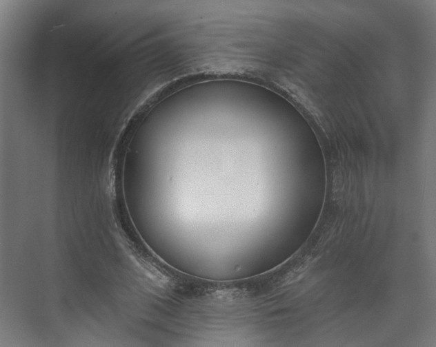 X0000073480584200608071023