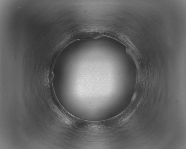 X0000073480585200608071023