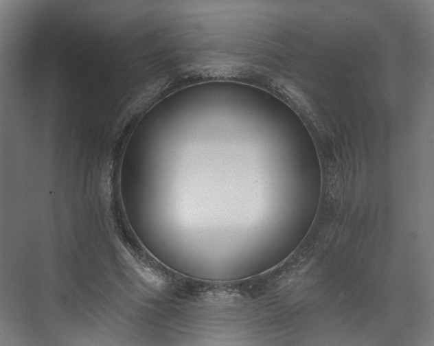 X0000073480586200608071023