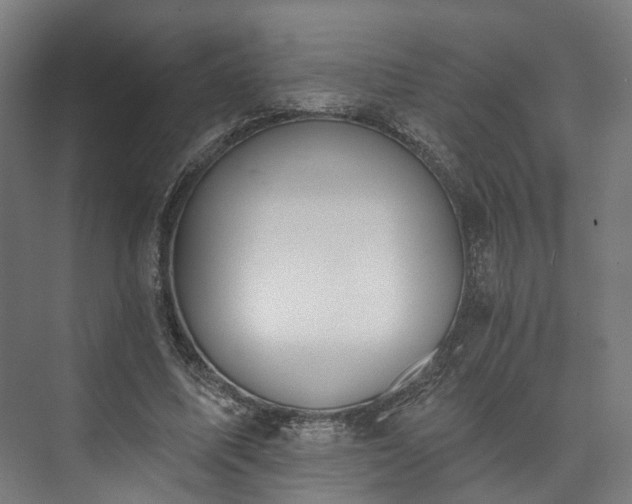 X0000073480587200608071023