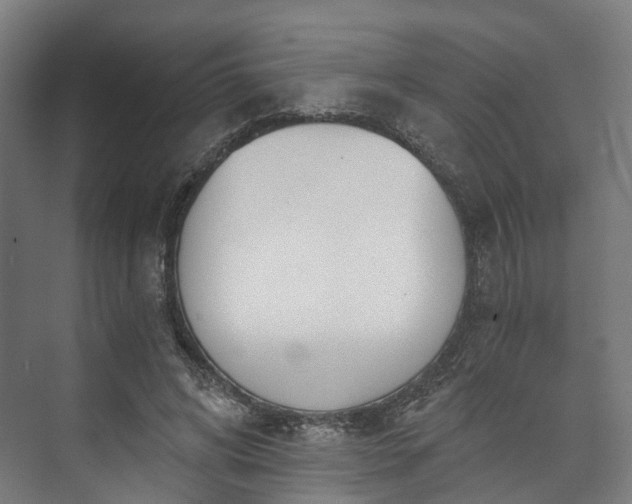 X0000073480592200608071023